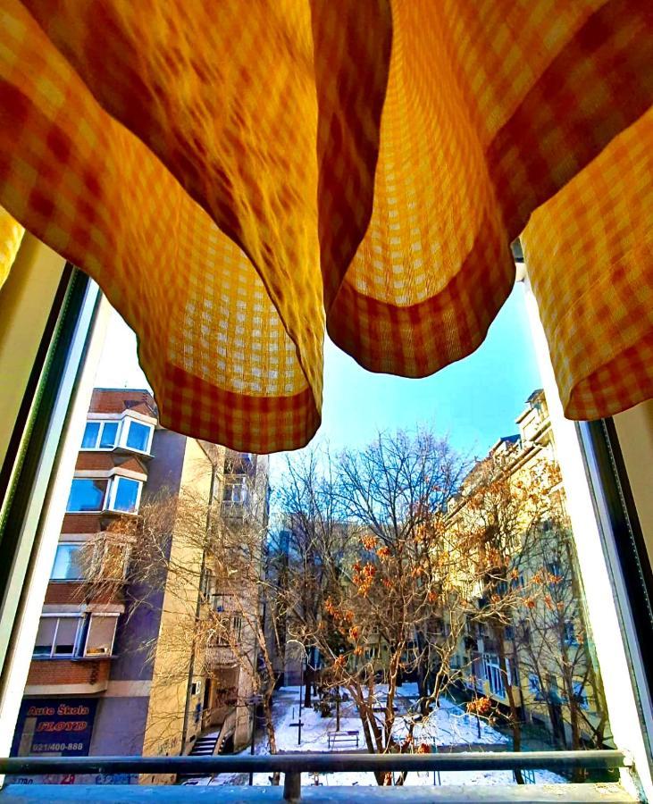 诺威萨Apartman Danube公寓 外观 照片