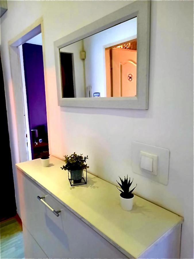 Apartman Danube 诺威萨 外观 照片