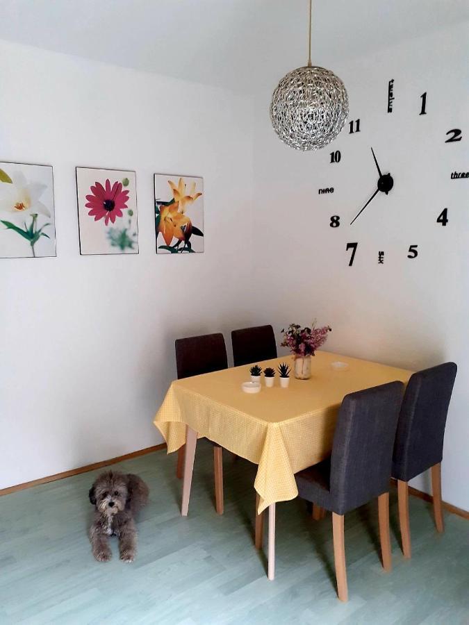 Apartman Danube 诺威萨 外观 照片